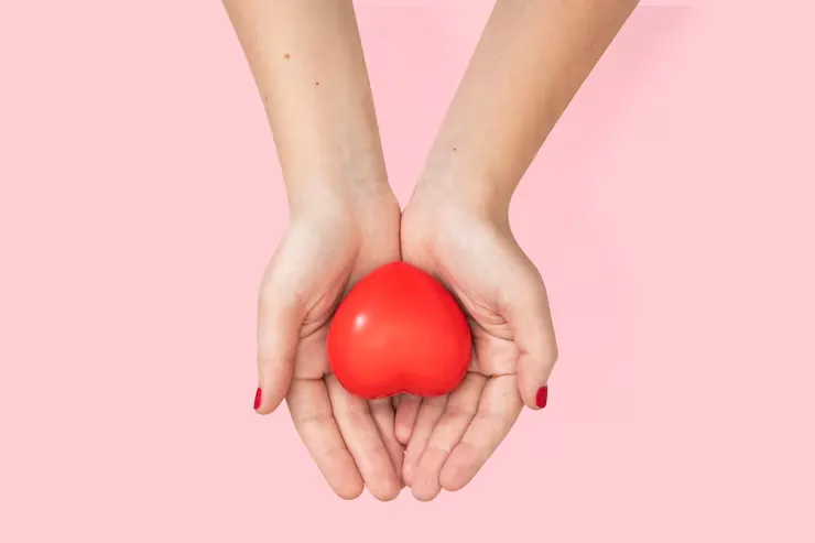 کارت اهدا عضو: راهنمای اهدا، دریافت کارت اهدا 2 hands cupping heart love relationship concept 53876 128985 6 11zon